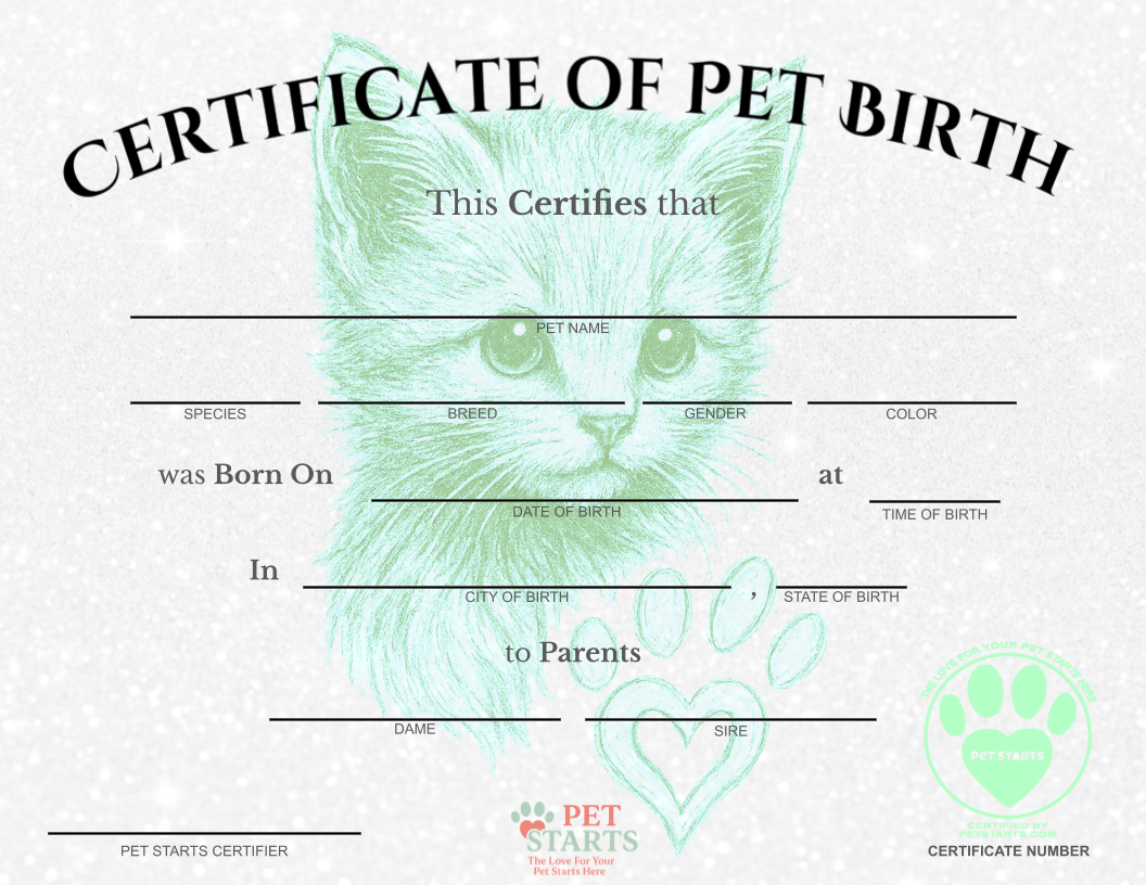 Mint Green Pawprint Kitten Birth Certificate